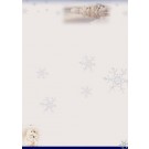 New Year's Letter